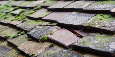 Llandenny roof repair costs